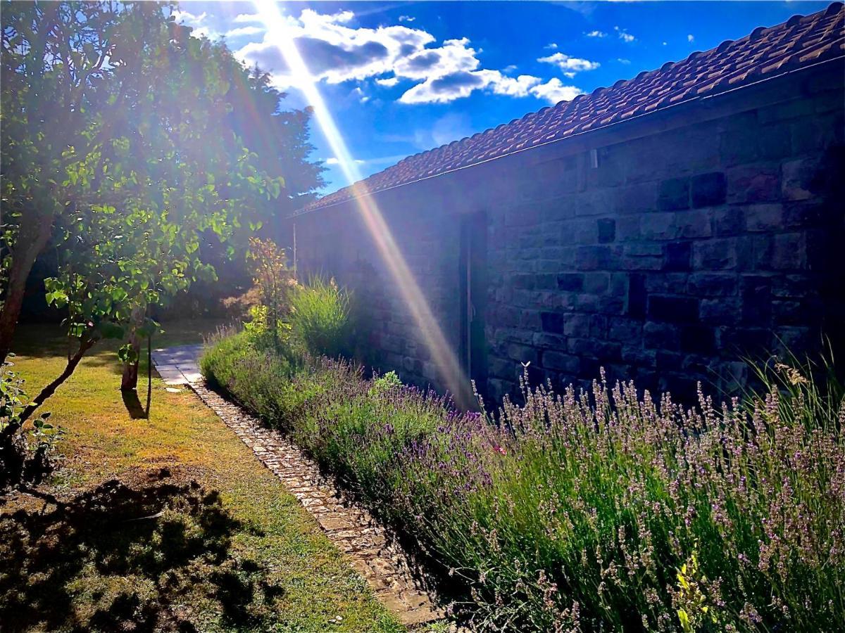 Out & Lodge Les Spirous Les Geronsarts Bagian luar foto